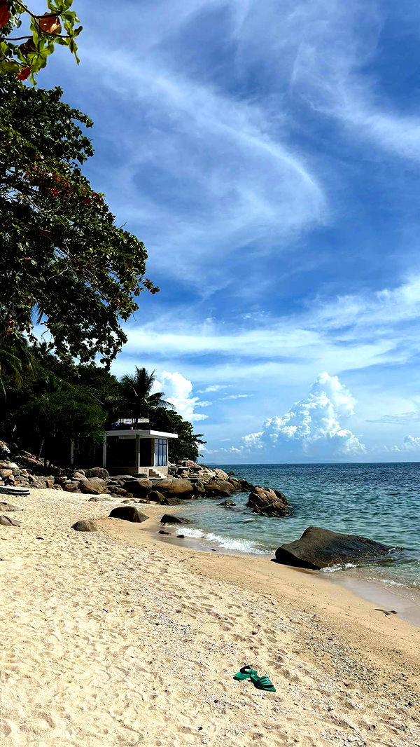 joell_perry image ~ Altpins