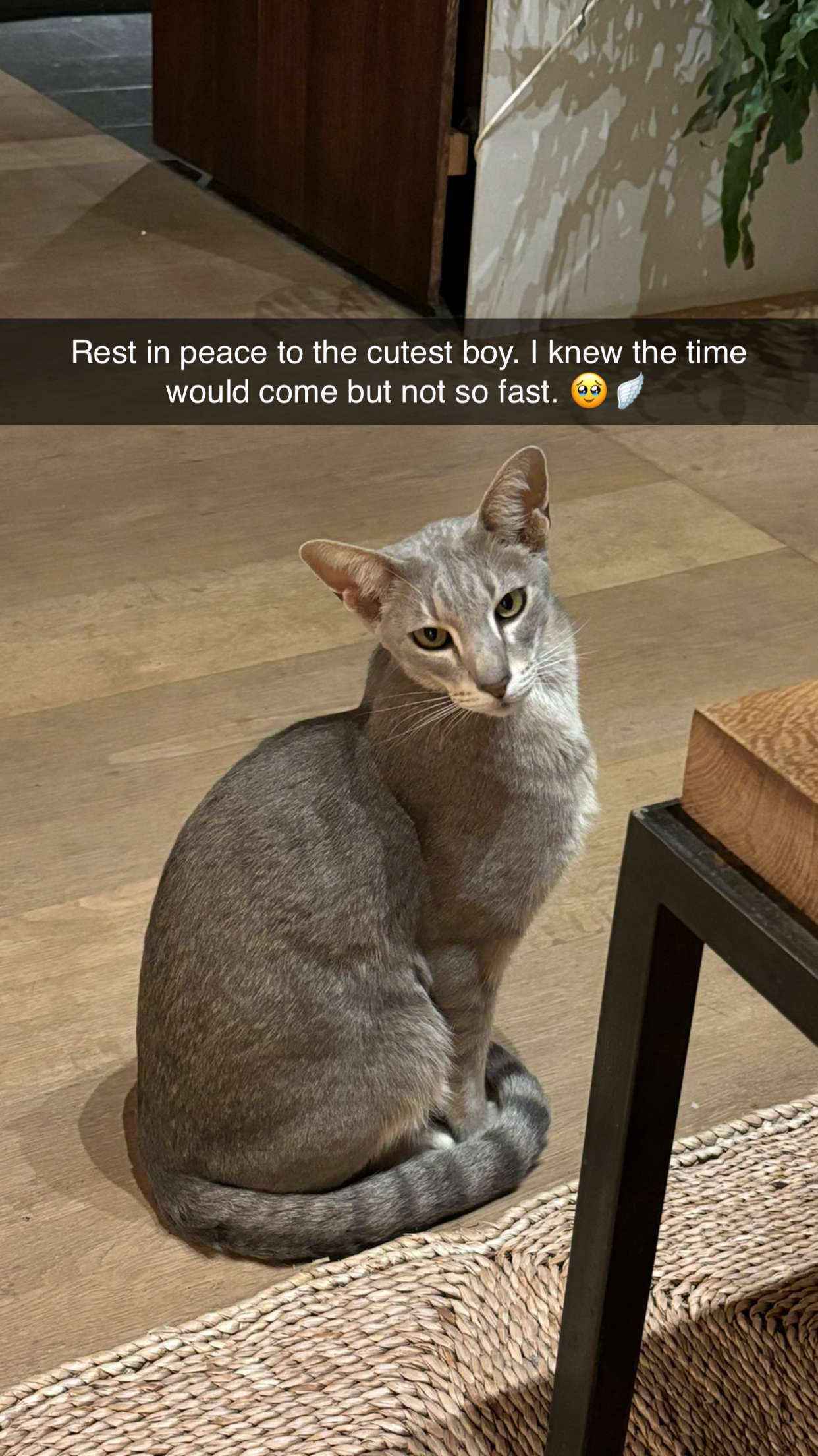 joell_perry snapchat image archive image