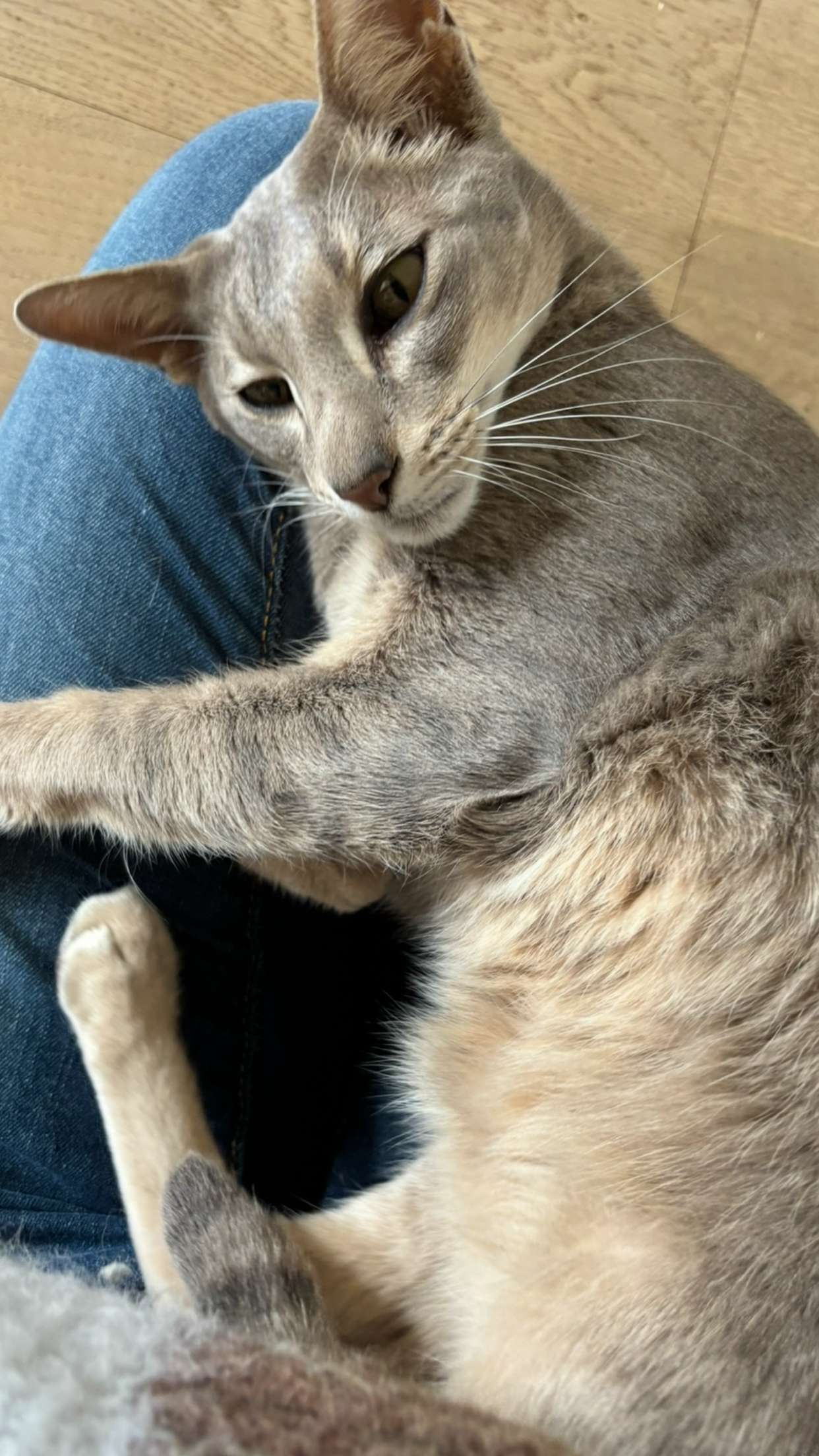 joell_perry snapchat image archive image