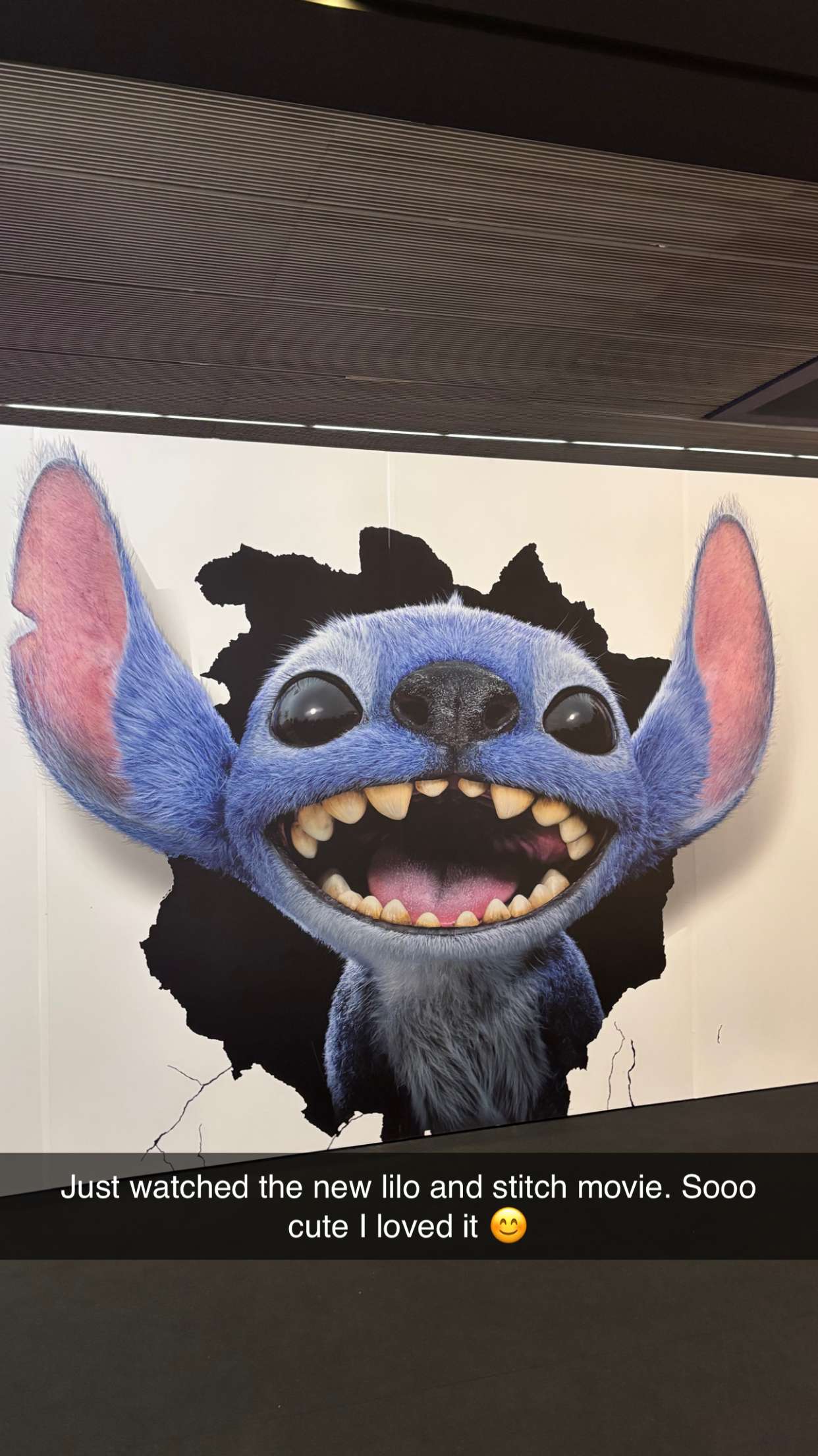 joell_perry snapchat image archive image