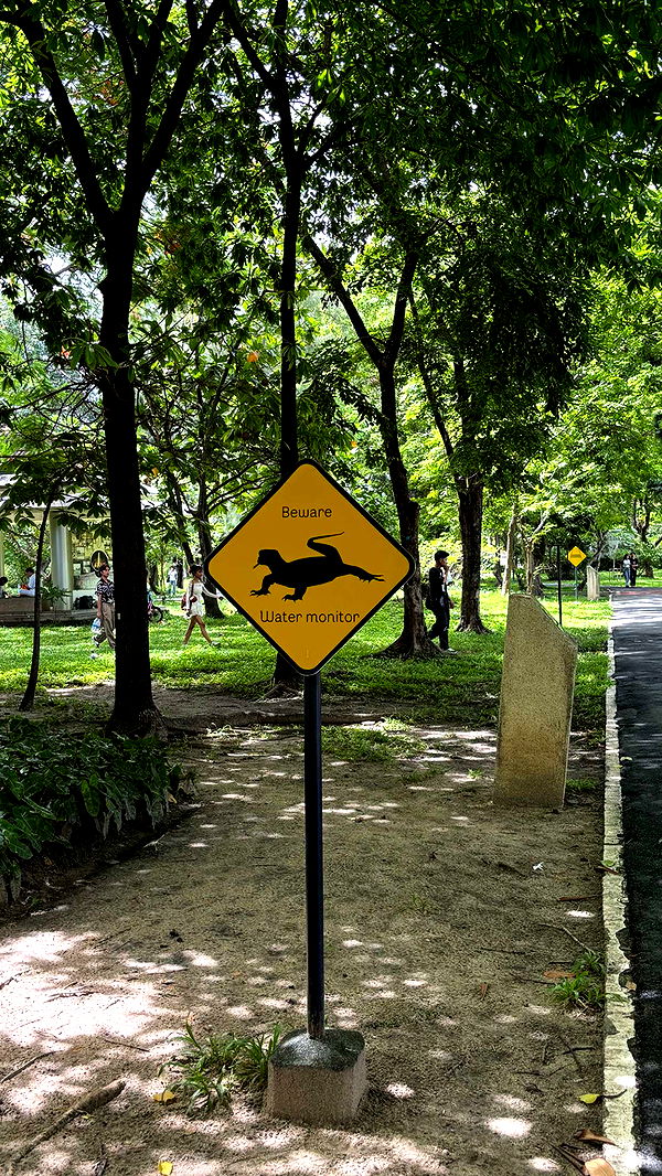 joell_perry image ~ Altpins