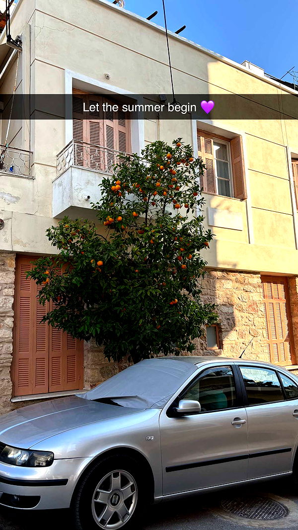 joell_perry image ~ Altpins