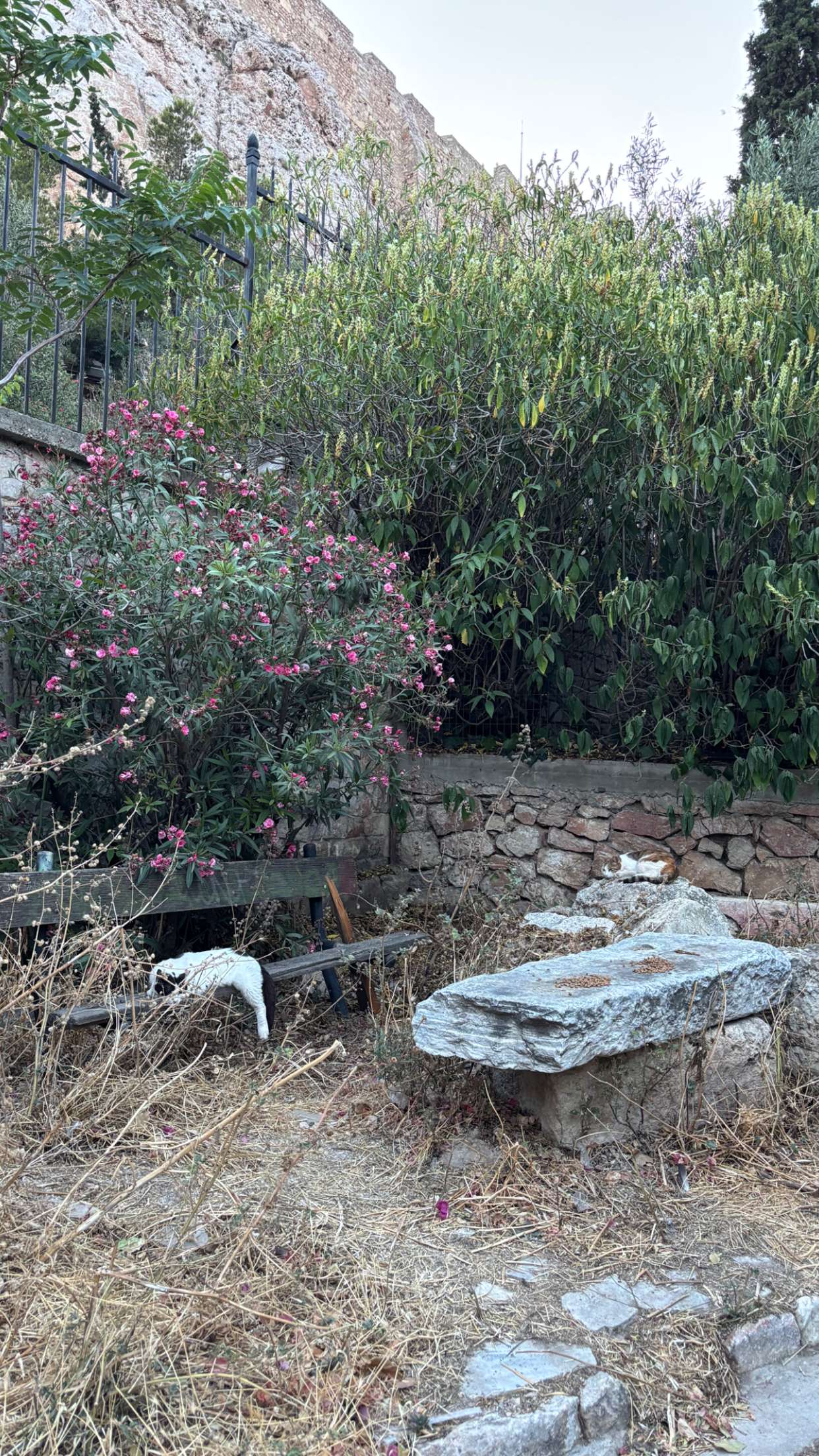 joell_perry snapchat image archive image