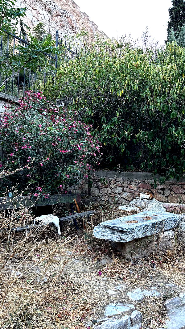 joell_perry image ~ Altpins