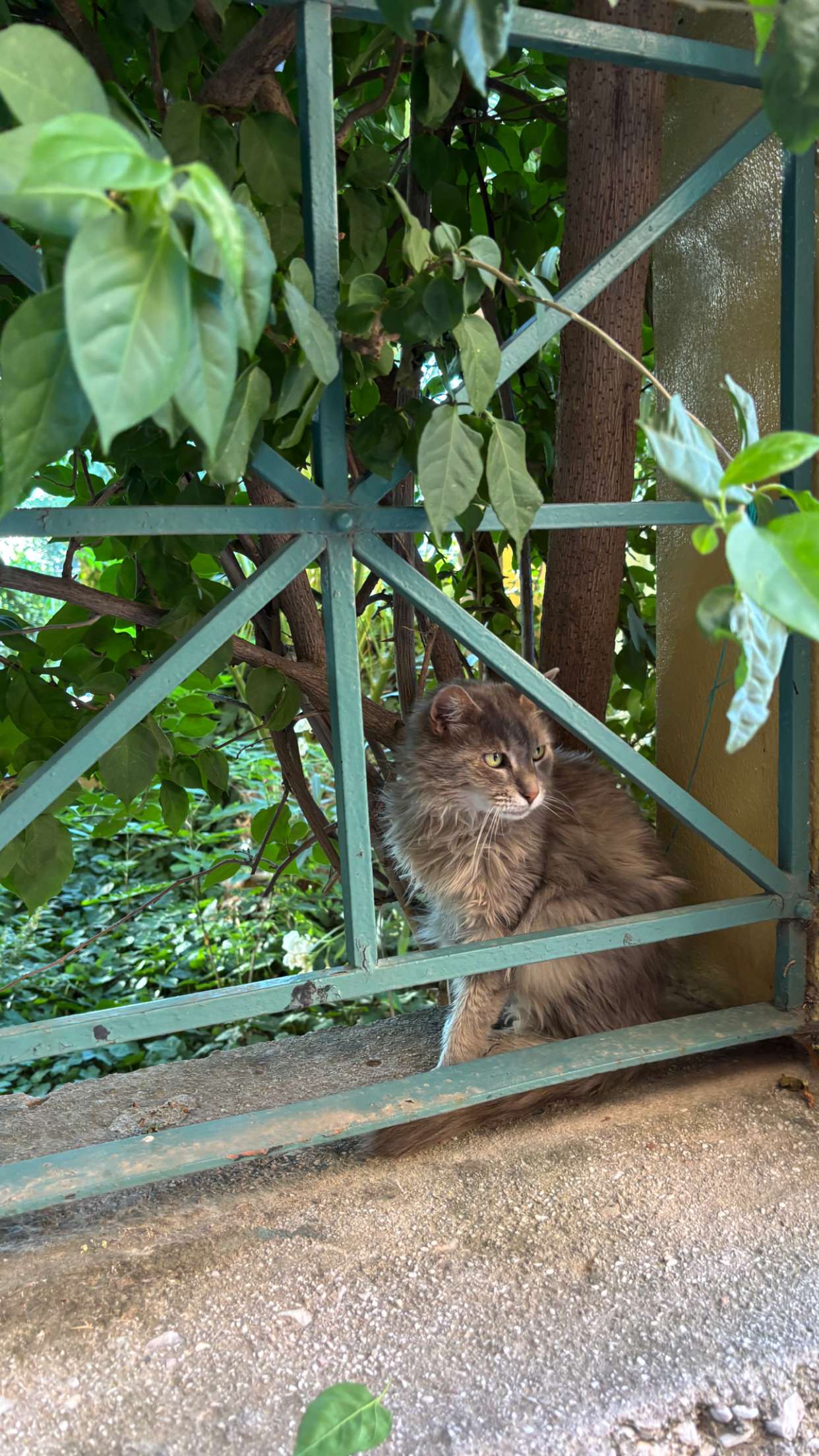 joell_perry snapchat image archive image