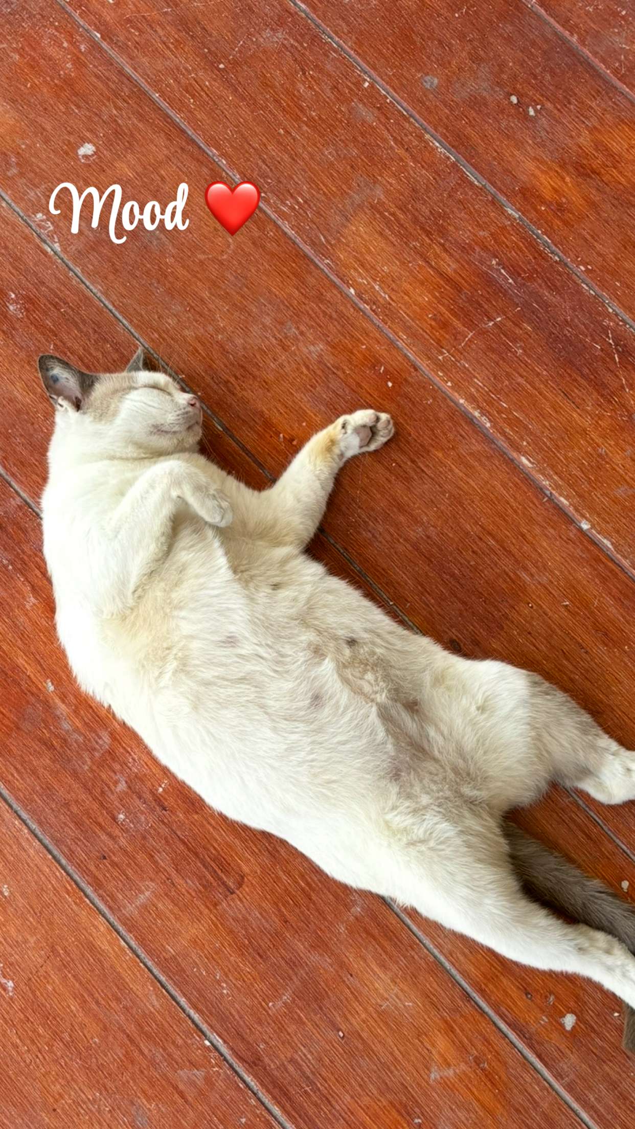 joell_perry snapchat image archive image