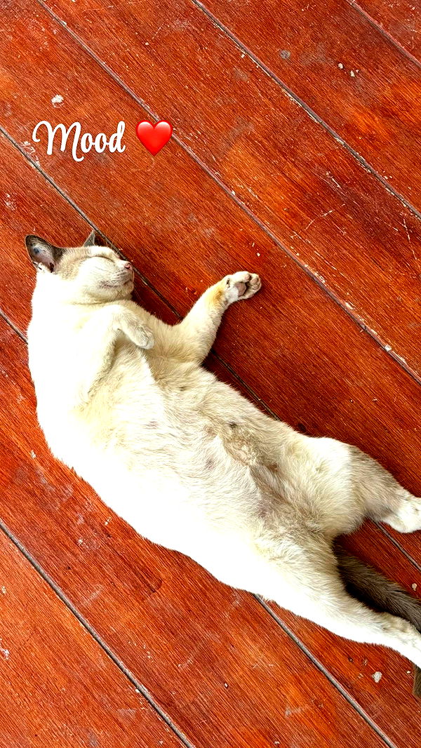 joell_perry image ~ Altpins