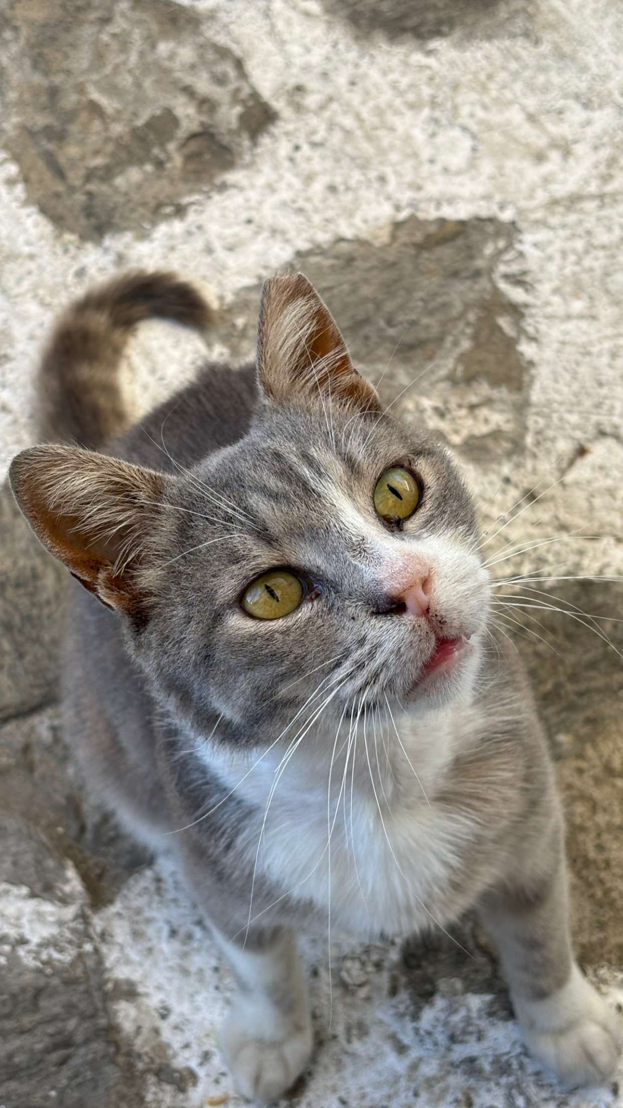 joell_perry snapchat image archive image