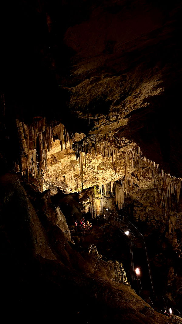 joell_perry image ~ Altpins