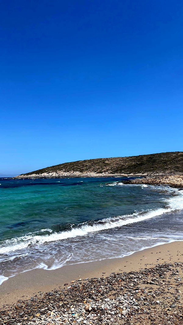 joell_perry image ~ Altpins