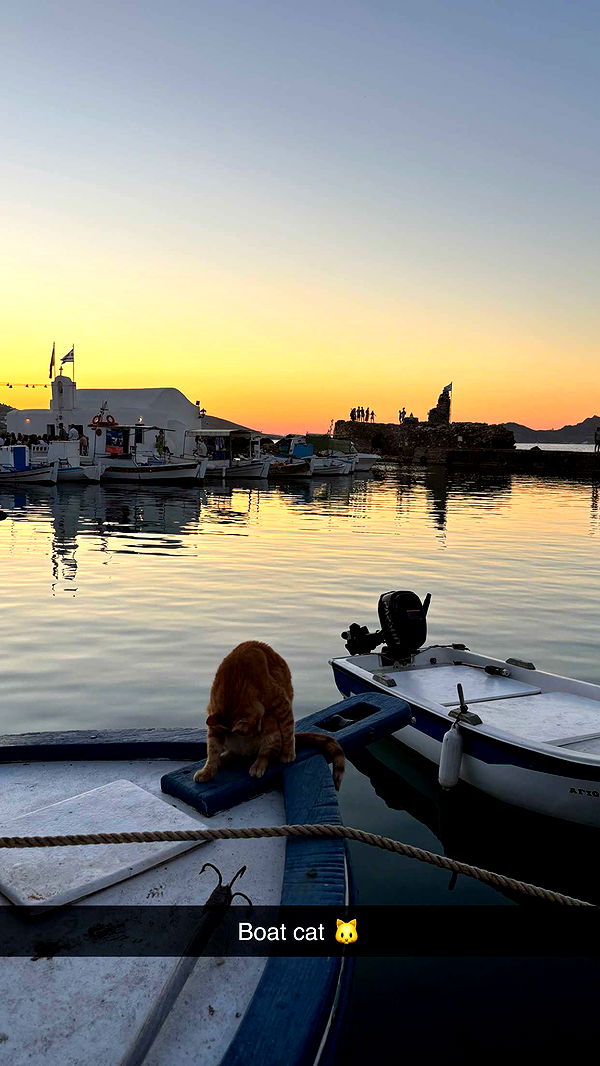 joell_perry image ~ Altpins