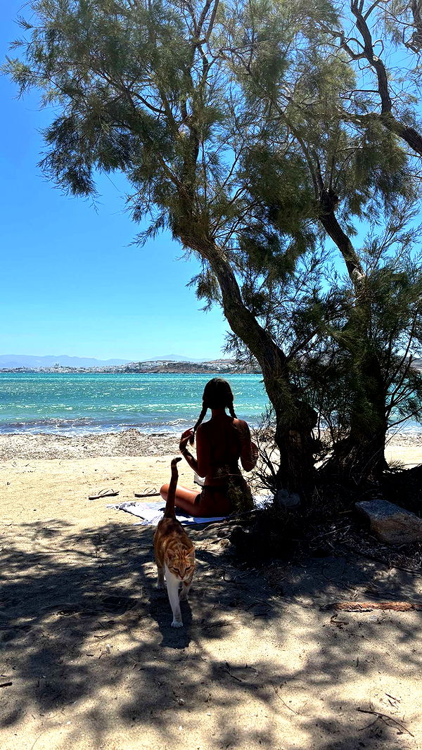 joell_perry image ~ Altpins