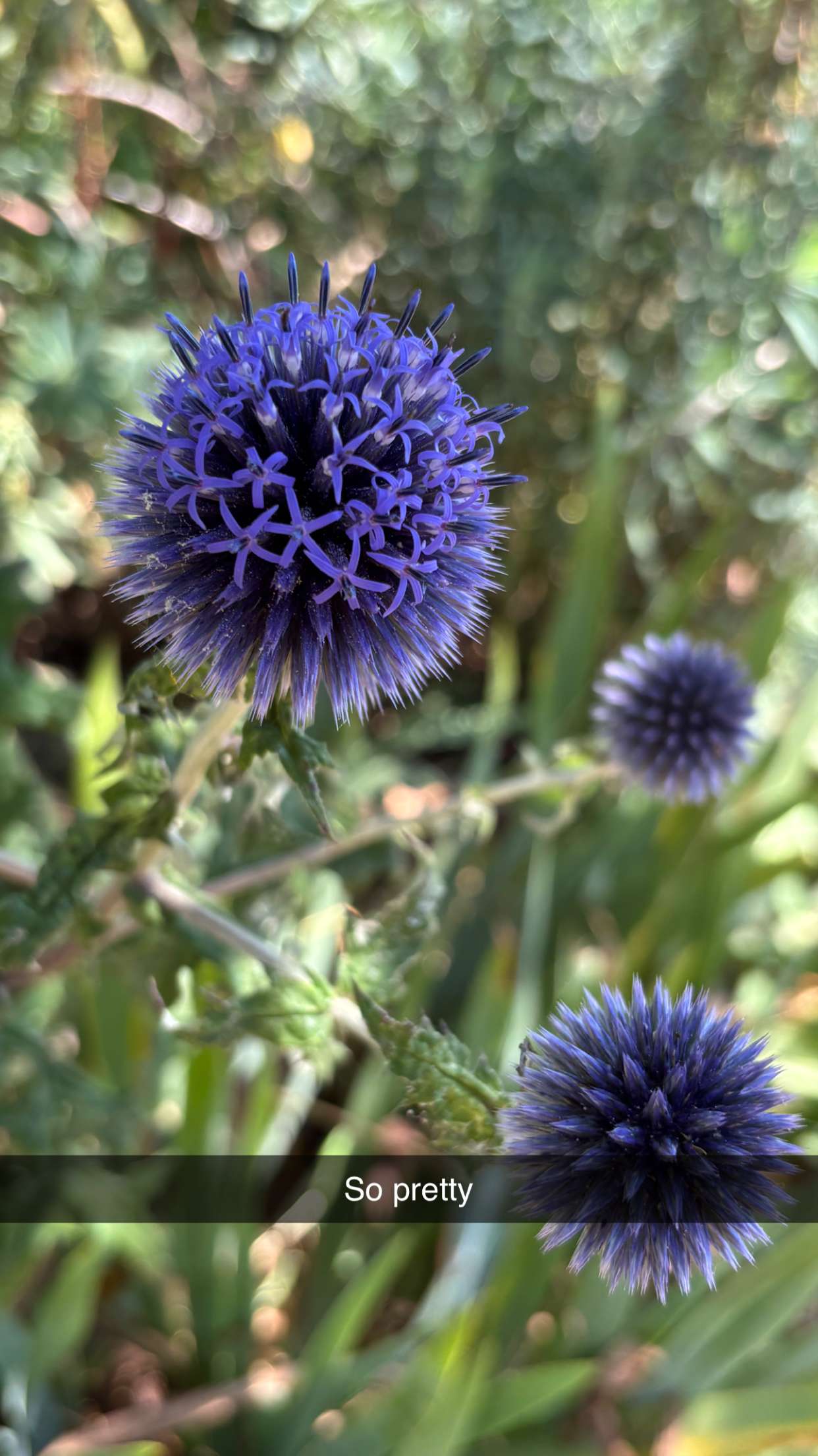 joell_perry snapchat image archive image