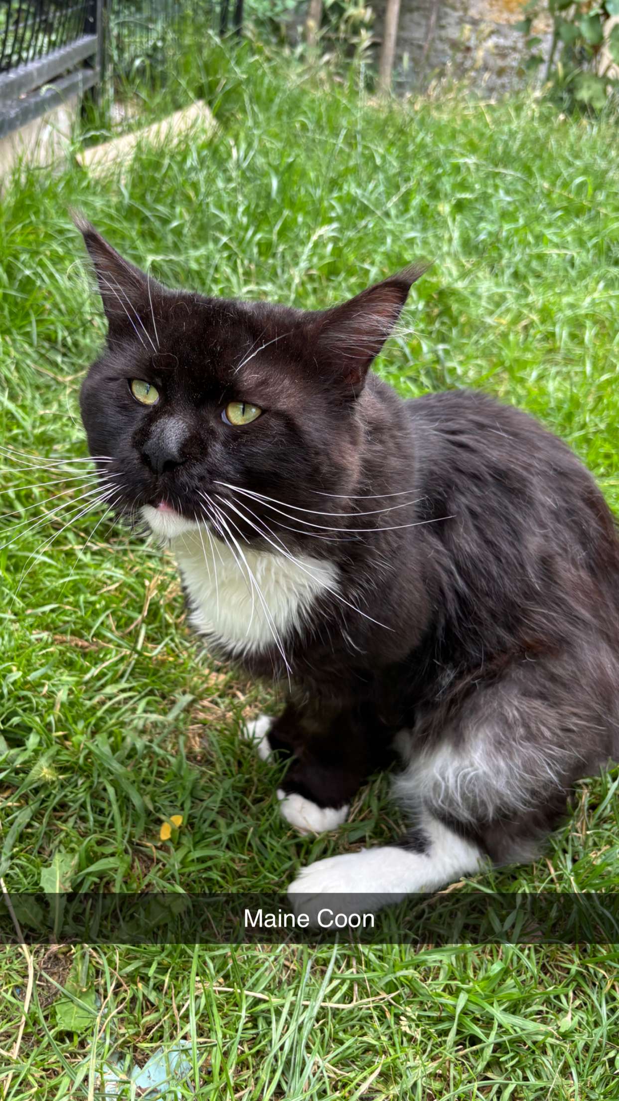 joell_perry snapchat image archive image