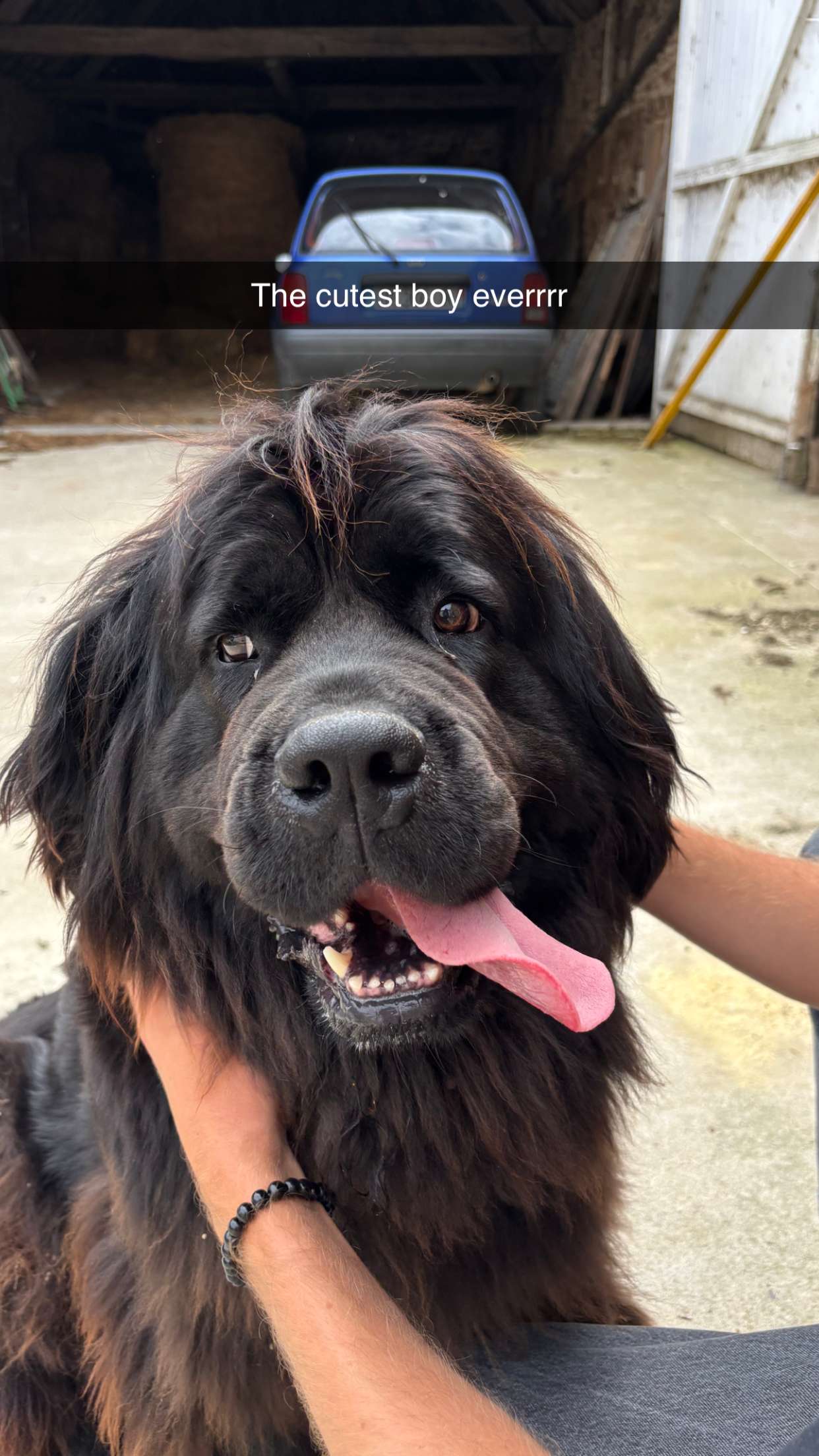 joell_perry snapchat image archive image