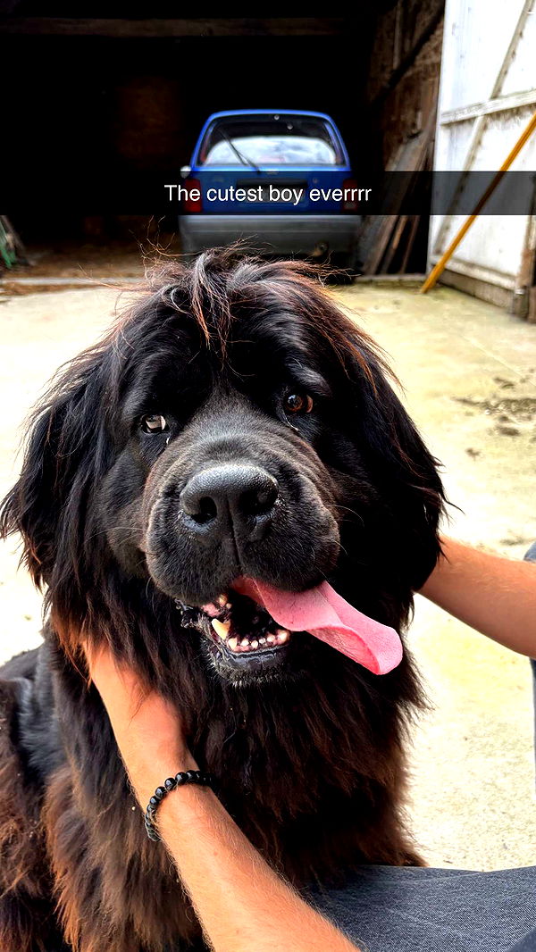 joell_perry image ~ Altpins