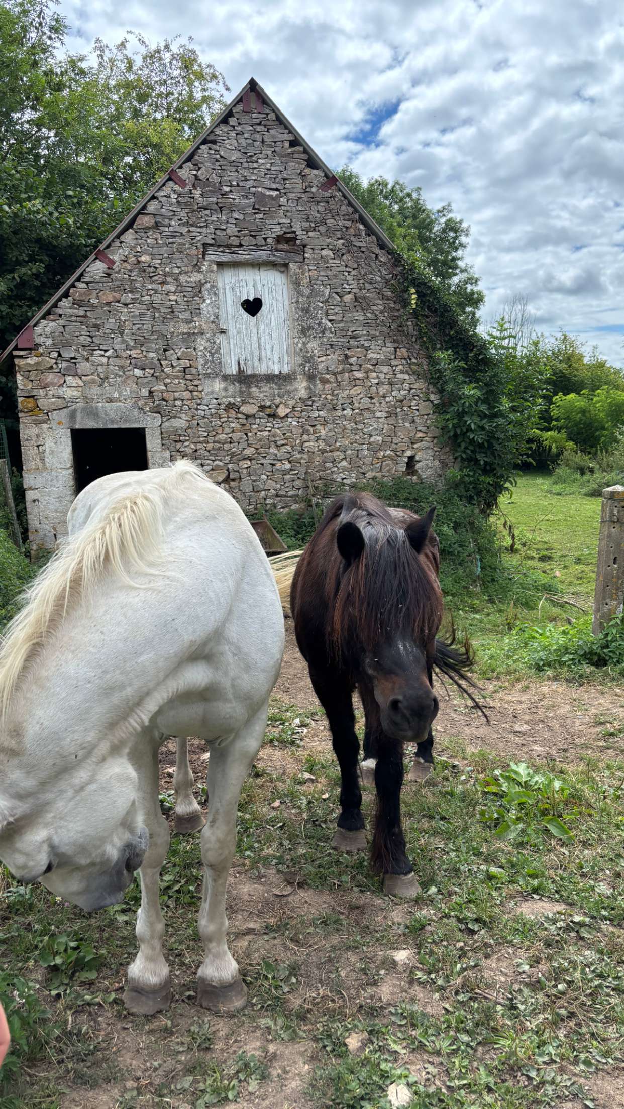 joell_perry snapchat image archive image