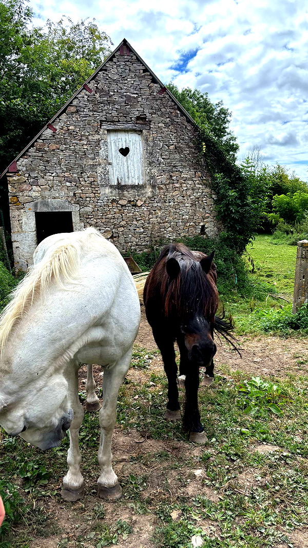 joell_perry image ~ Altpins