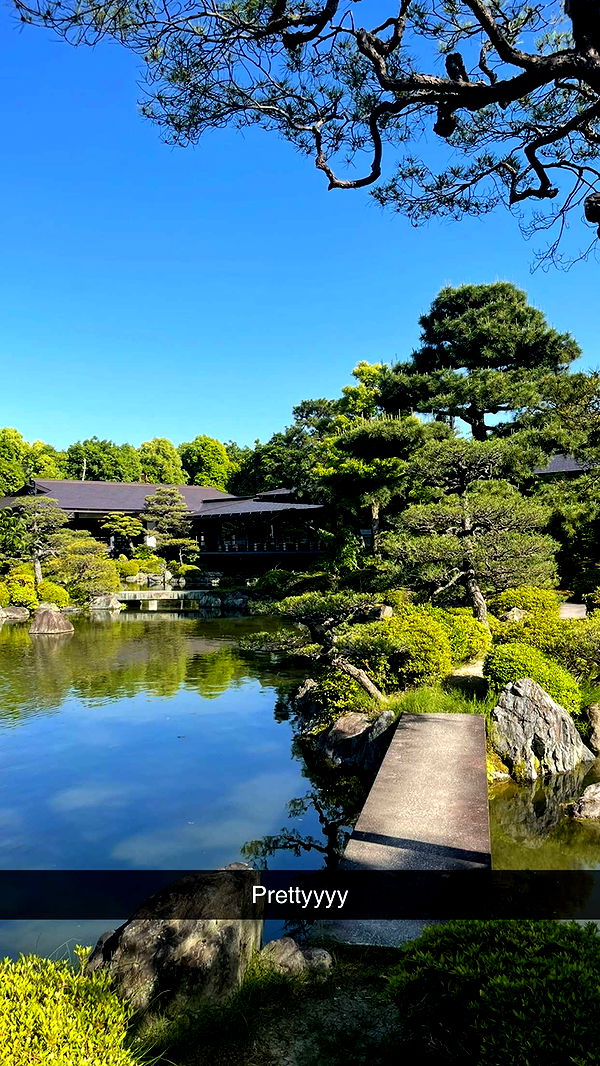 joell_perry image ~ Altpins