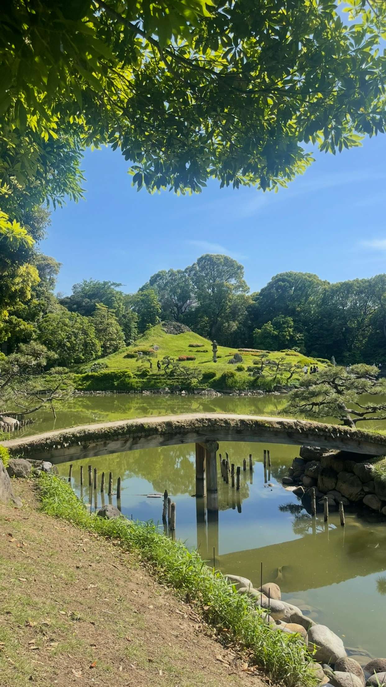 joell_perry snapchat image archive image