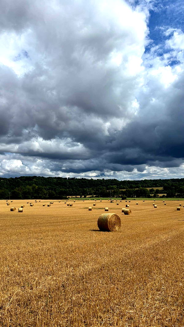 joell_perry image ~ Altpins