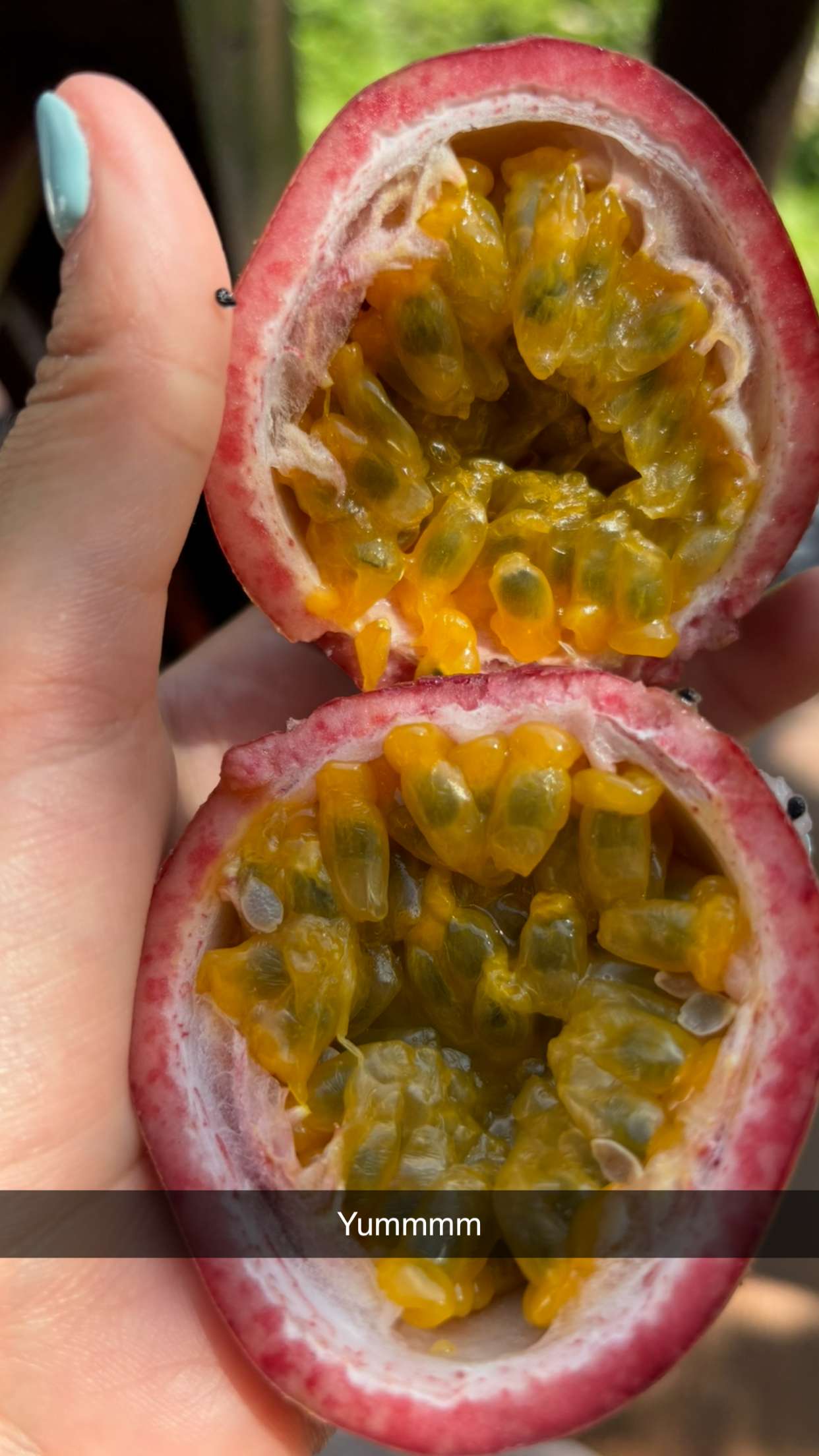 joell_perry snapchat image archive image