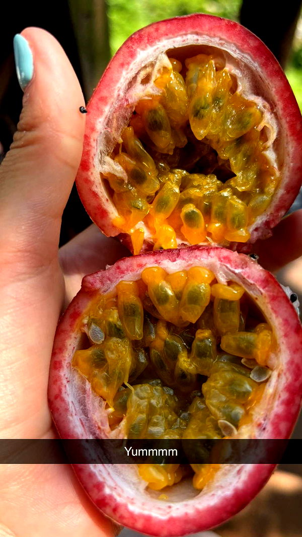 joell_perry image ~ Altpins