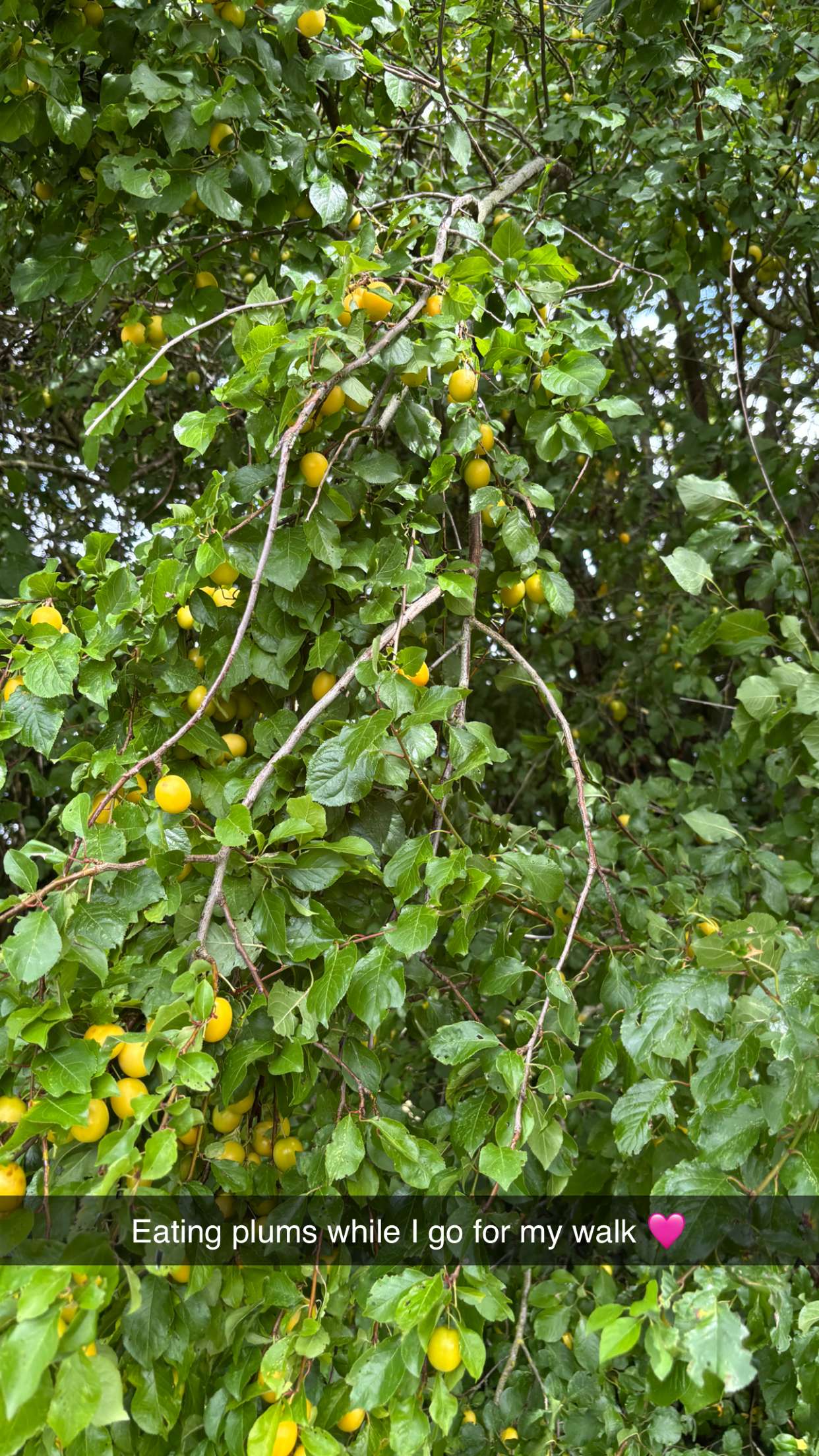 joell_perry snapchat image archive image