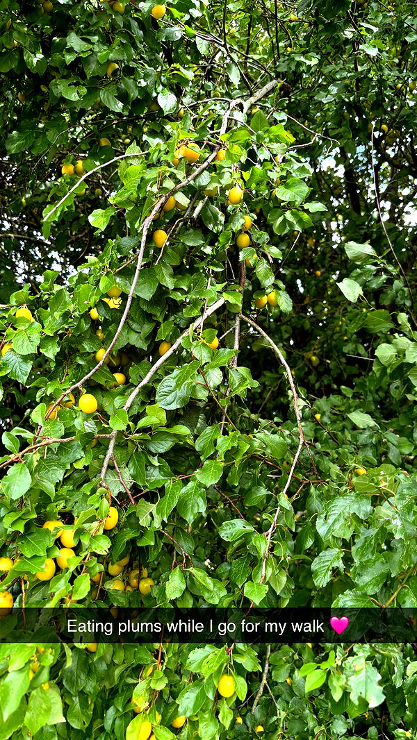 joell_perry image ~ Altpins