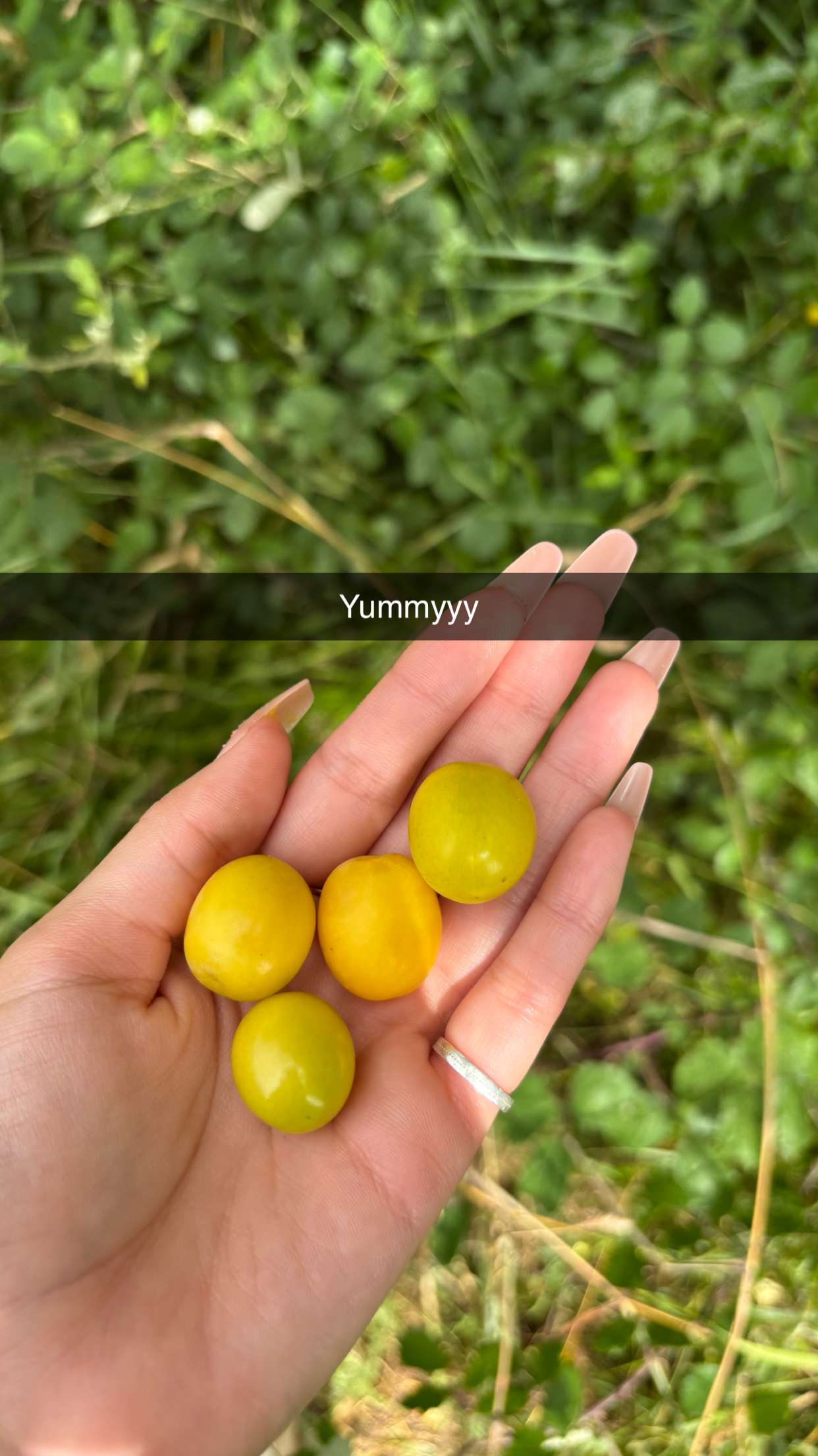 joell_perry snapchat image archive image