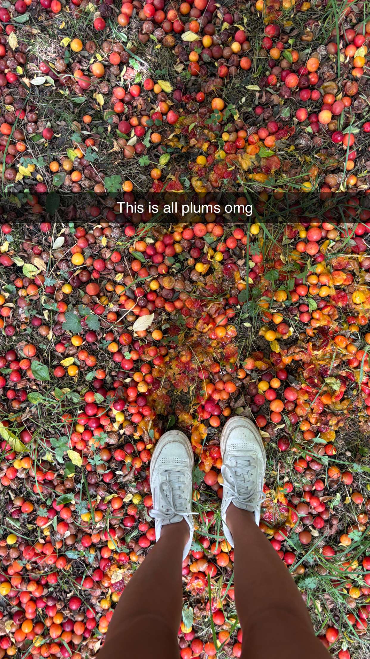 joell_perry snapchat image archive image