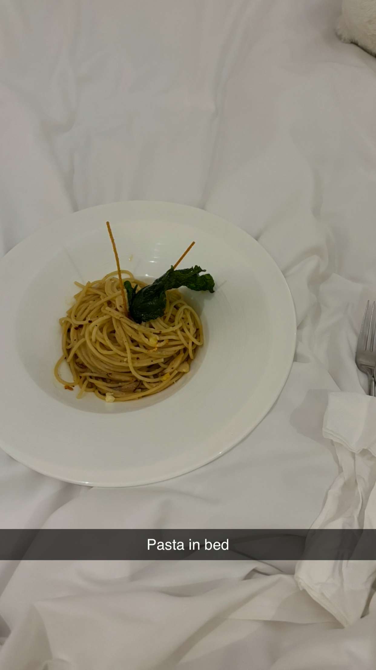 joell_perry snapchat image archive image