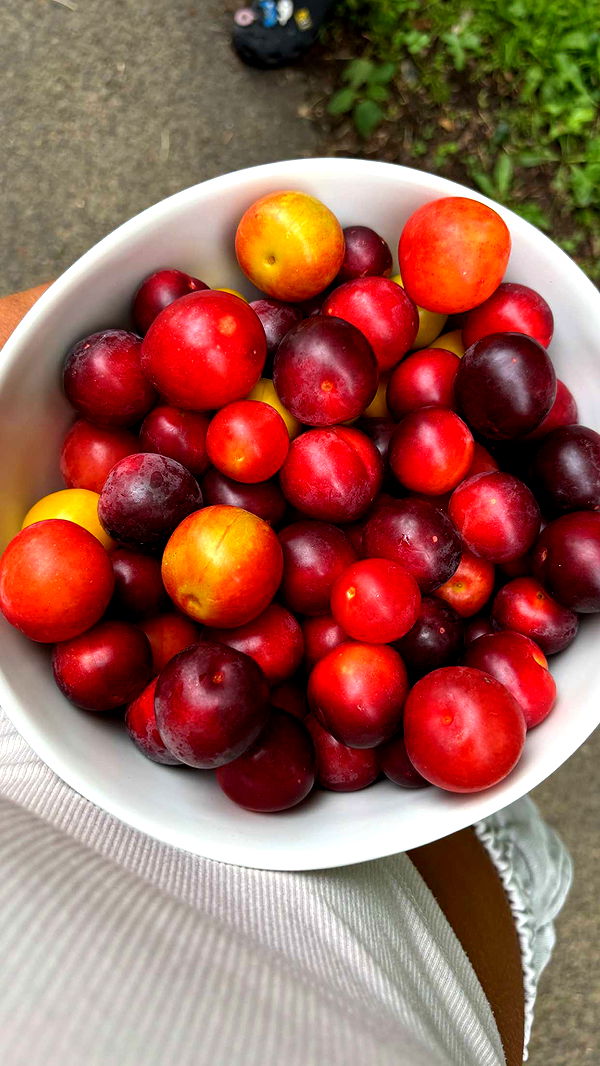 joell_perry image ~ Altpins