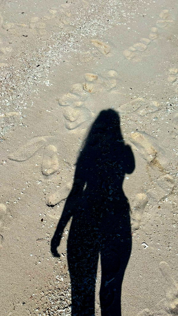 joell_perry image ~ Altpins