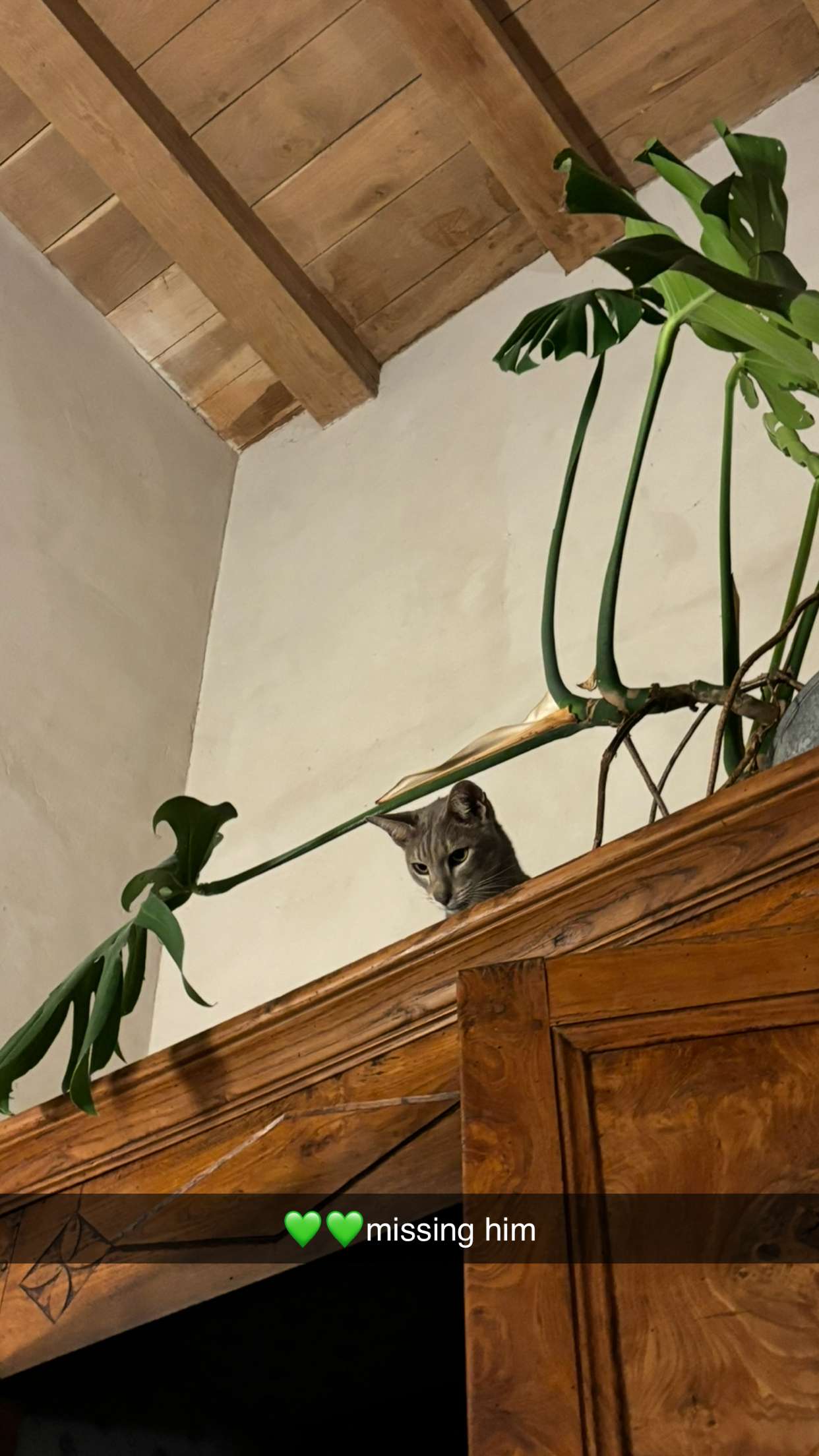 joell_perry snapchat image archive image