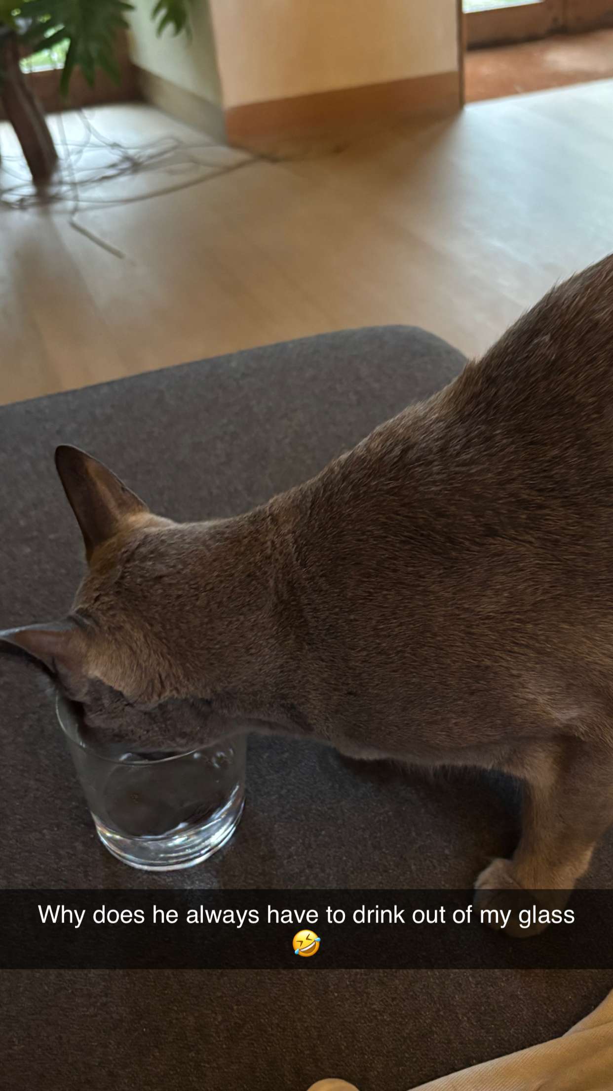 joell_perry snapchat image archive image