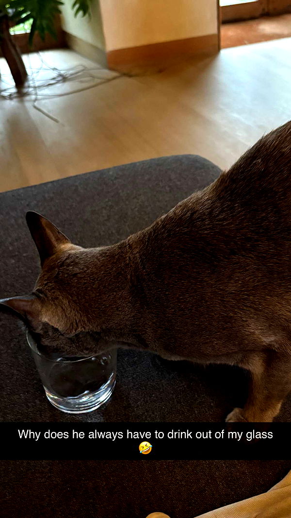 joell_perry image ~ Altpins