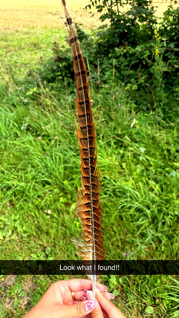 joell_perry image ~ Altpins