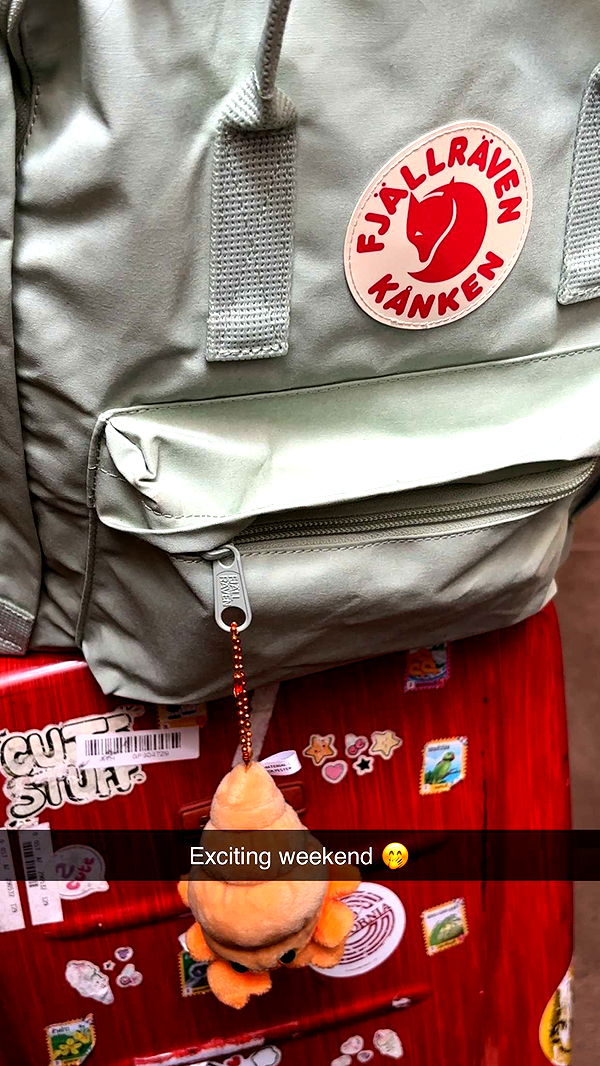 joell_perry image ~ Altpins