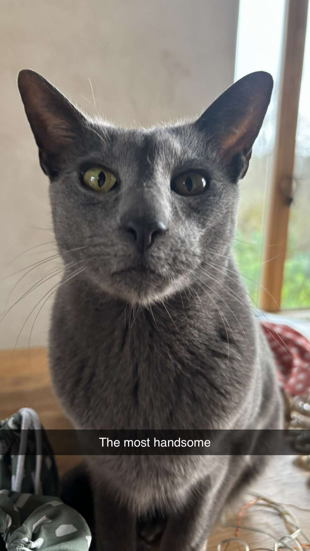 joell_perry snapchat image archive image