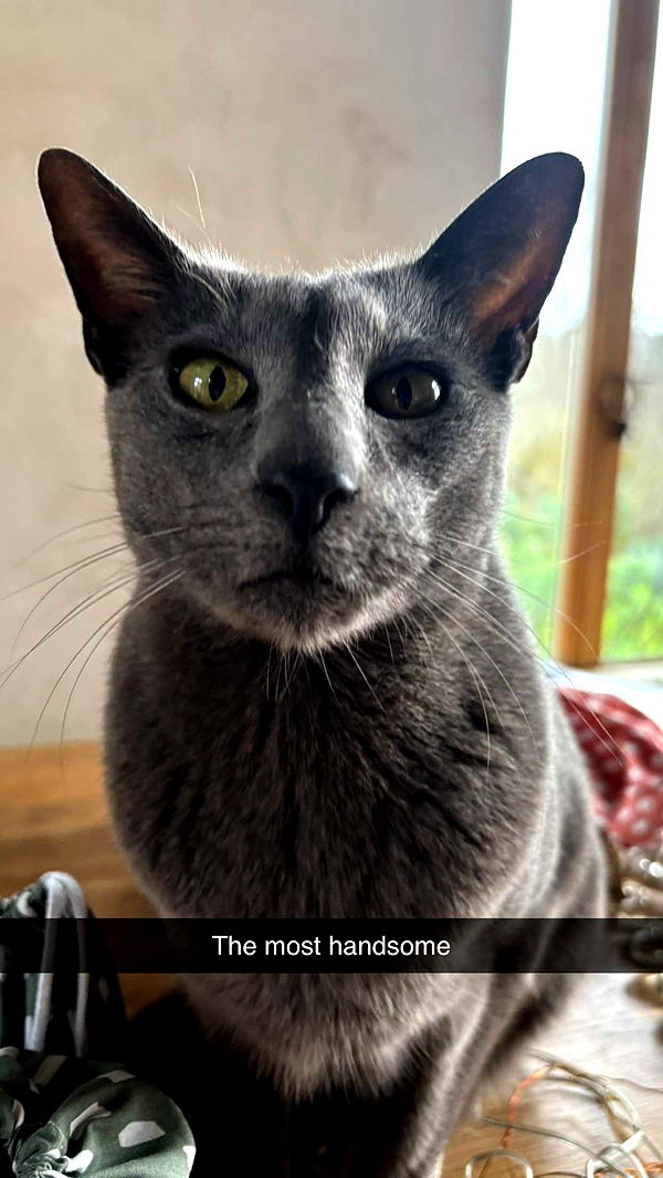 joell_perry image ~ Altpins