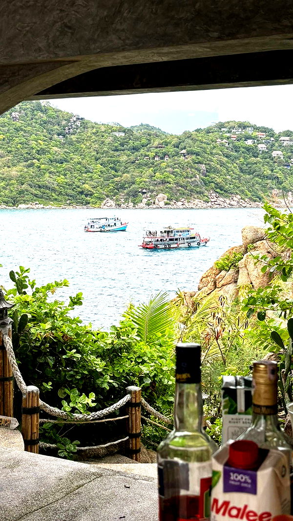 joell_perry image ~ Altpins