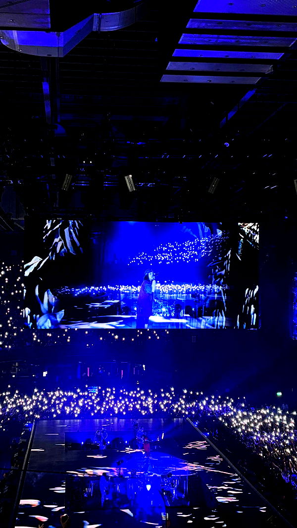 joell_perry image ~ Altpins