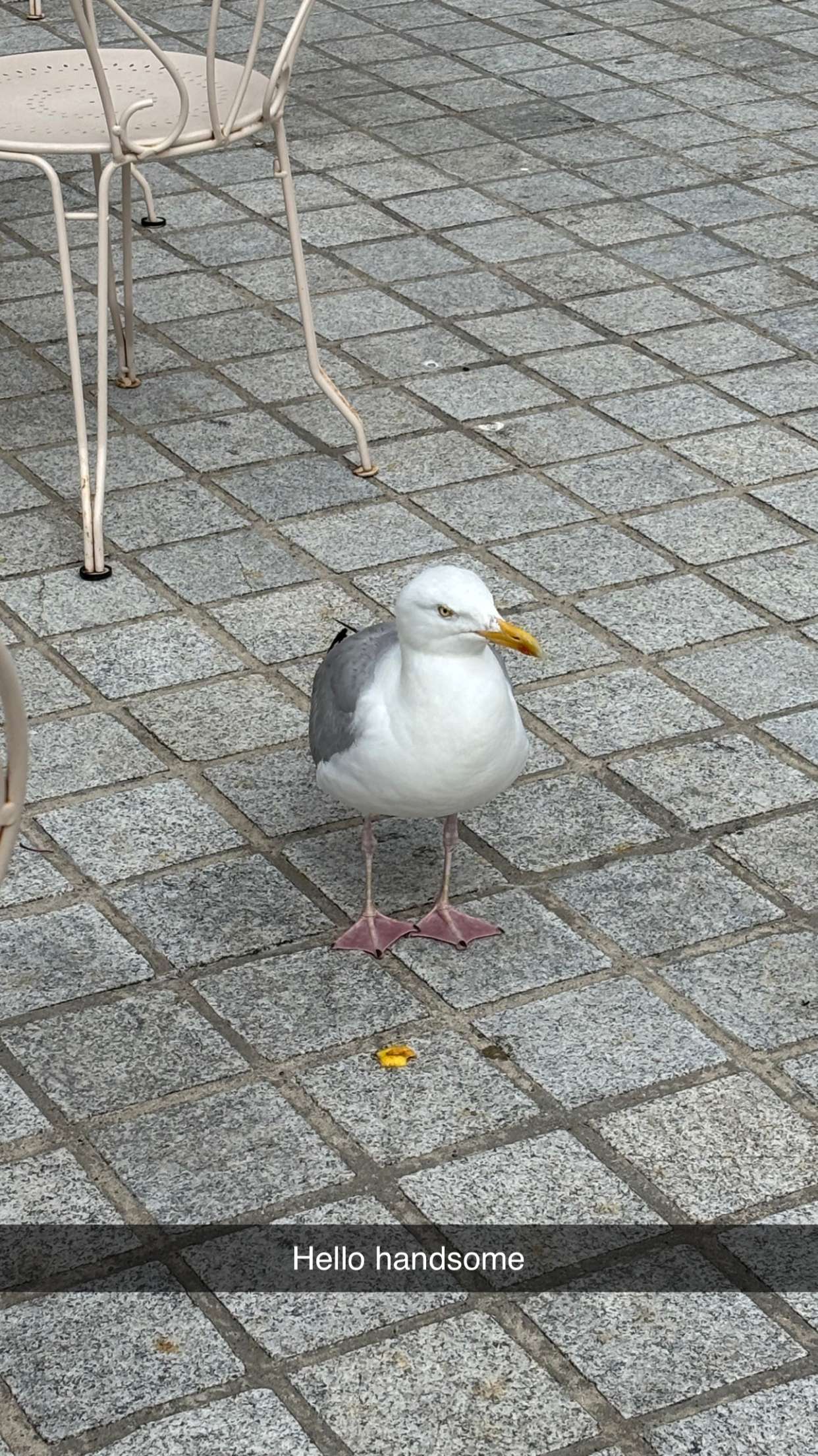 joell_perry snapchat image archive image