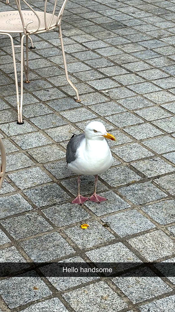 joell_perry image ~ Altpins