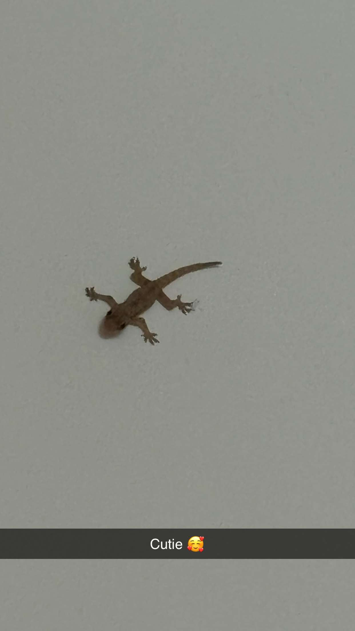 joell_perry snapchat image archive image