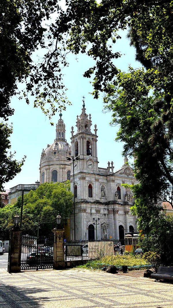 joell_perry image ~ Altpins