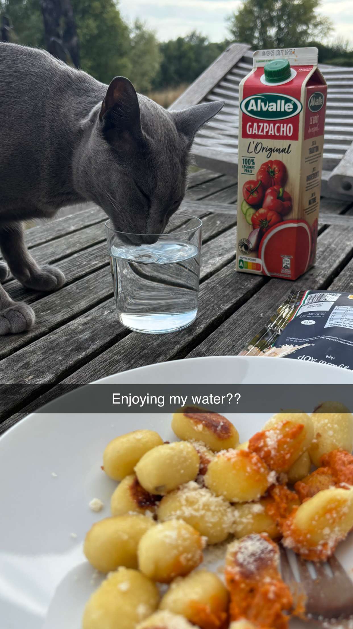 joell_perry snapchat image archive image