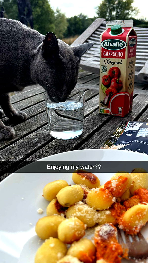 joell_perry image ~ Altpins