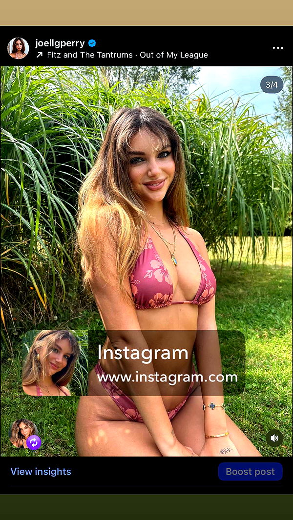 joell_perry image ~ Altpins